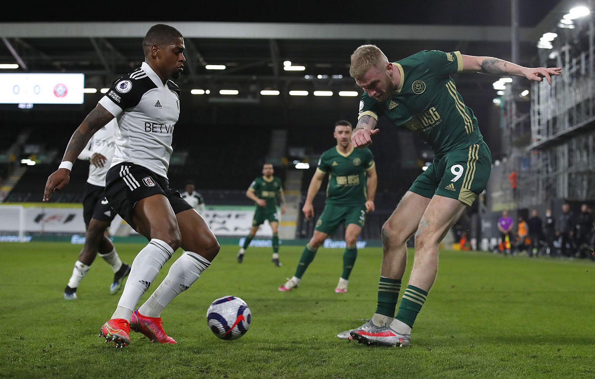 迷的关注 迷的关注